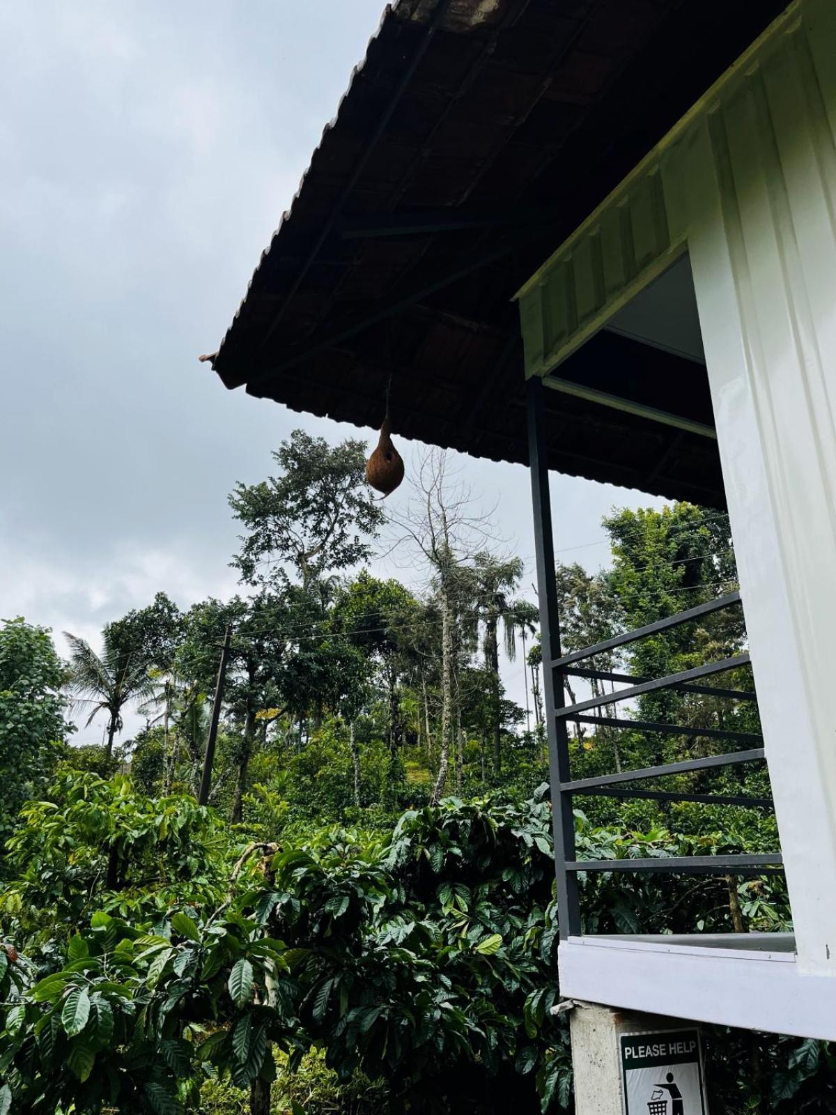 Vigo Homes Sakleshpur Esterno foto