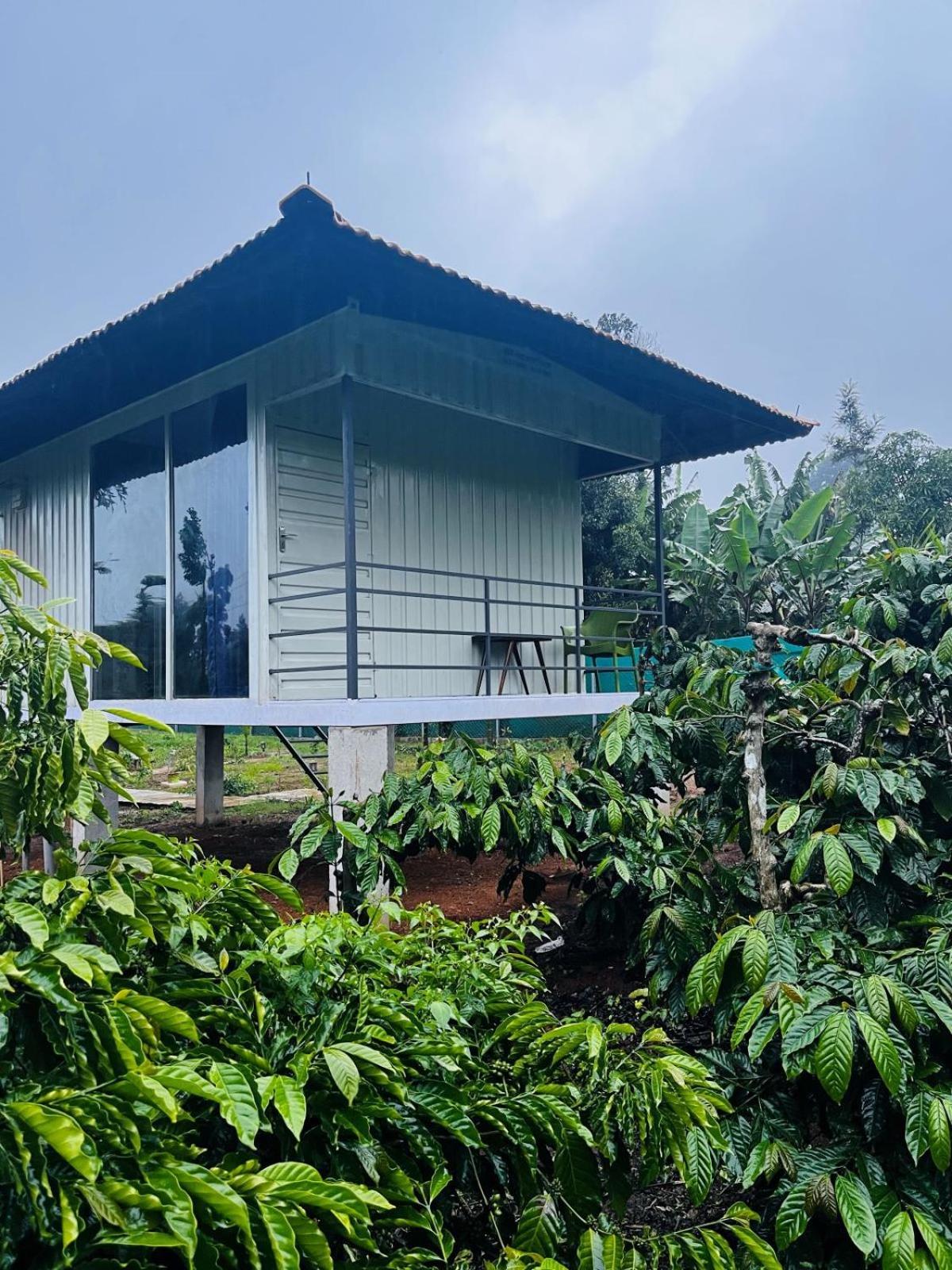 Vigo Homes Sakleshpur Esterno foto