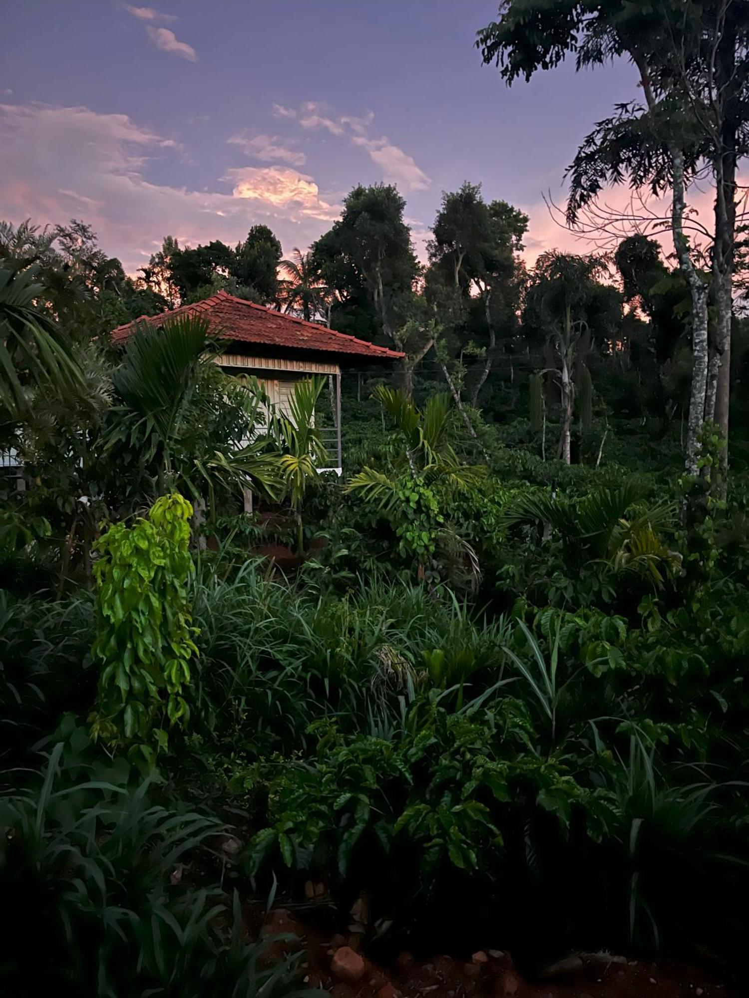 Vigo Homes Sakleshpur Esterno foto